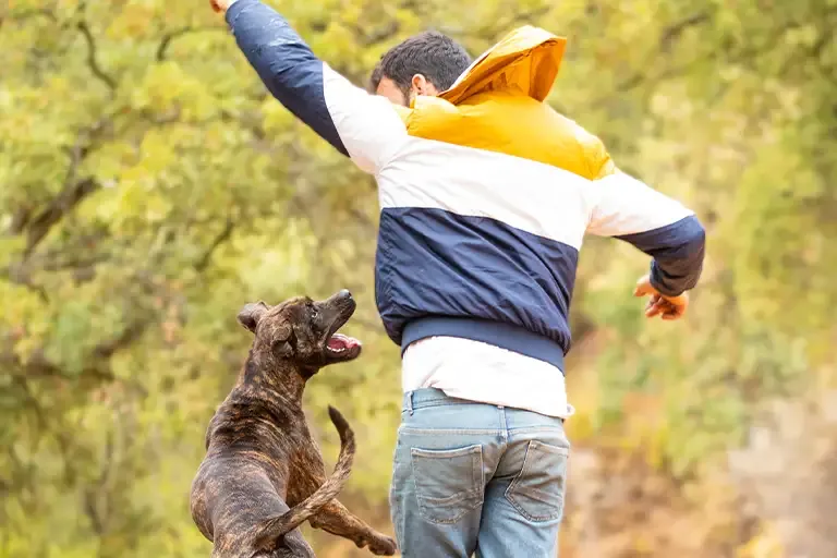 Dog jumping up at a man outdoors