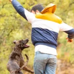 Stop your dog from jumping