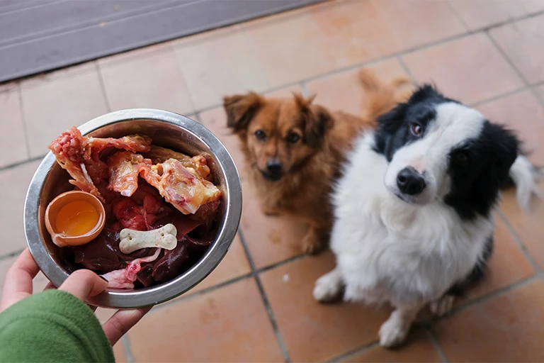 dog natural food