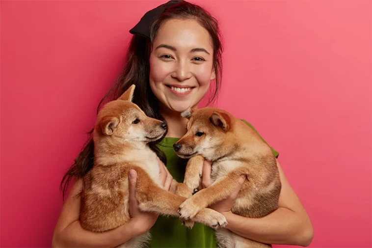 puppy care
