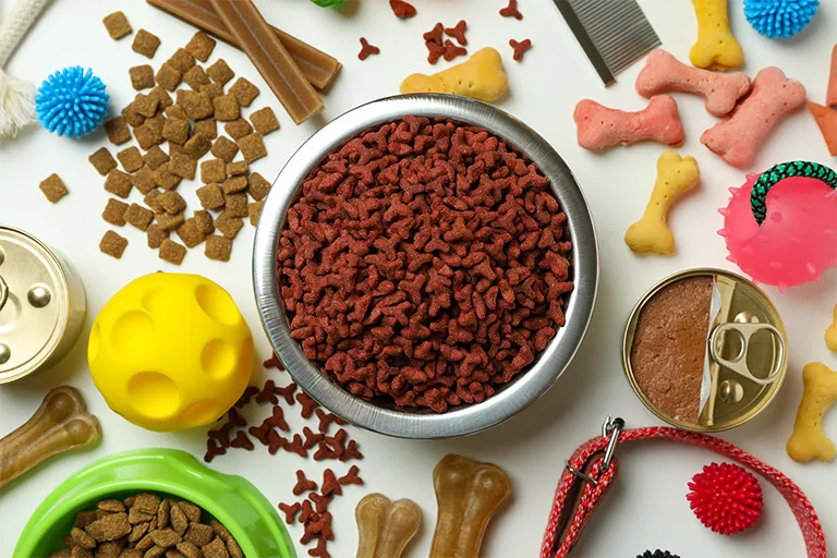 healthy dog food