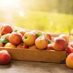 Can Dogs Eat Peach