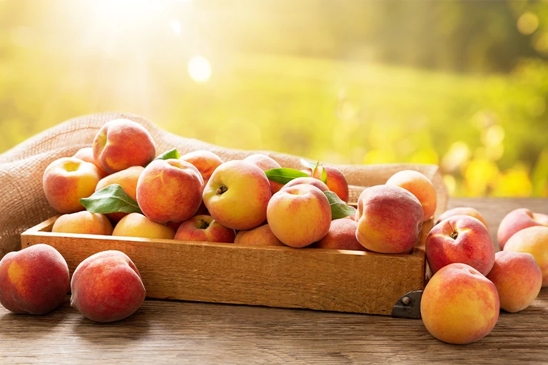 Can Dogs Eat Peach? Dog Diet and Nutrition Pawsdemy